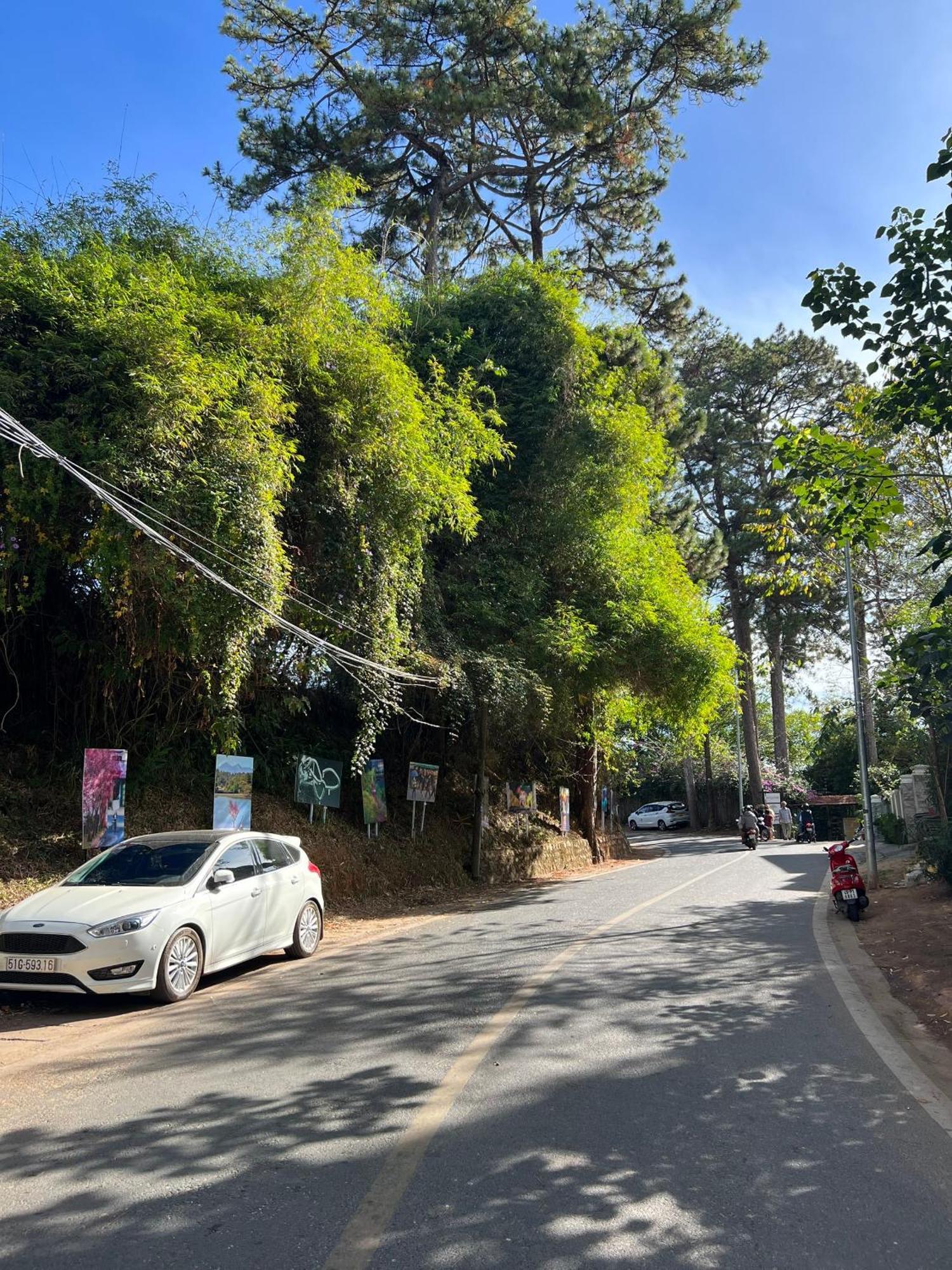 Nature Hotel - Dalat 3 Kültér fotó